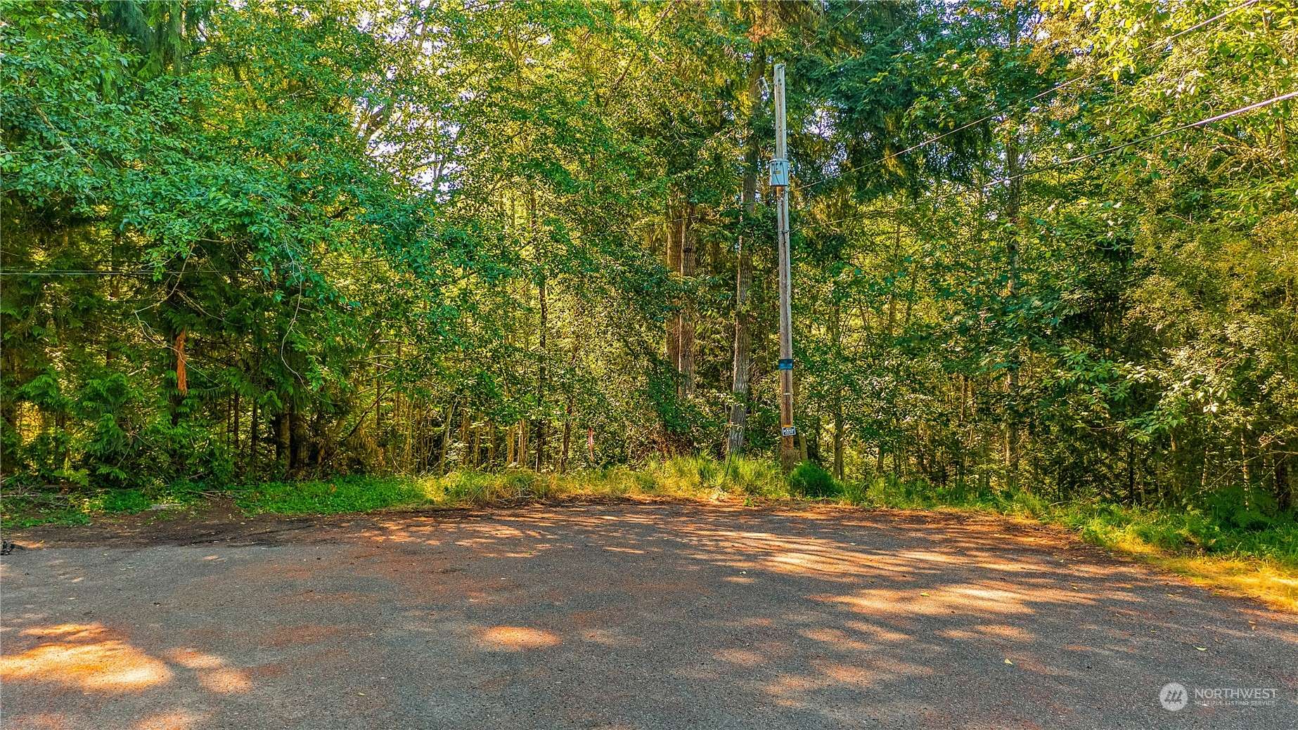 Shelton, WA 98584,43 E Willopa PL