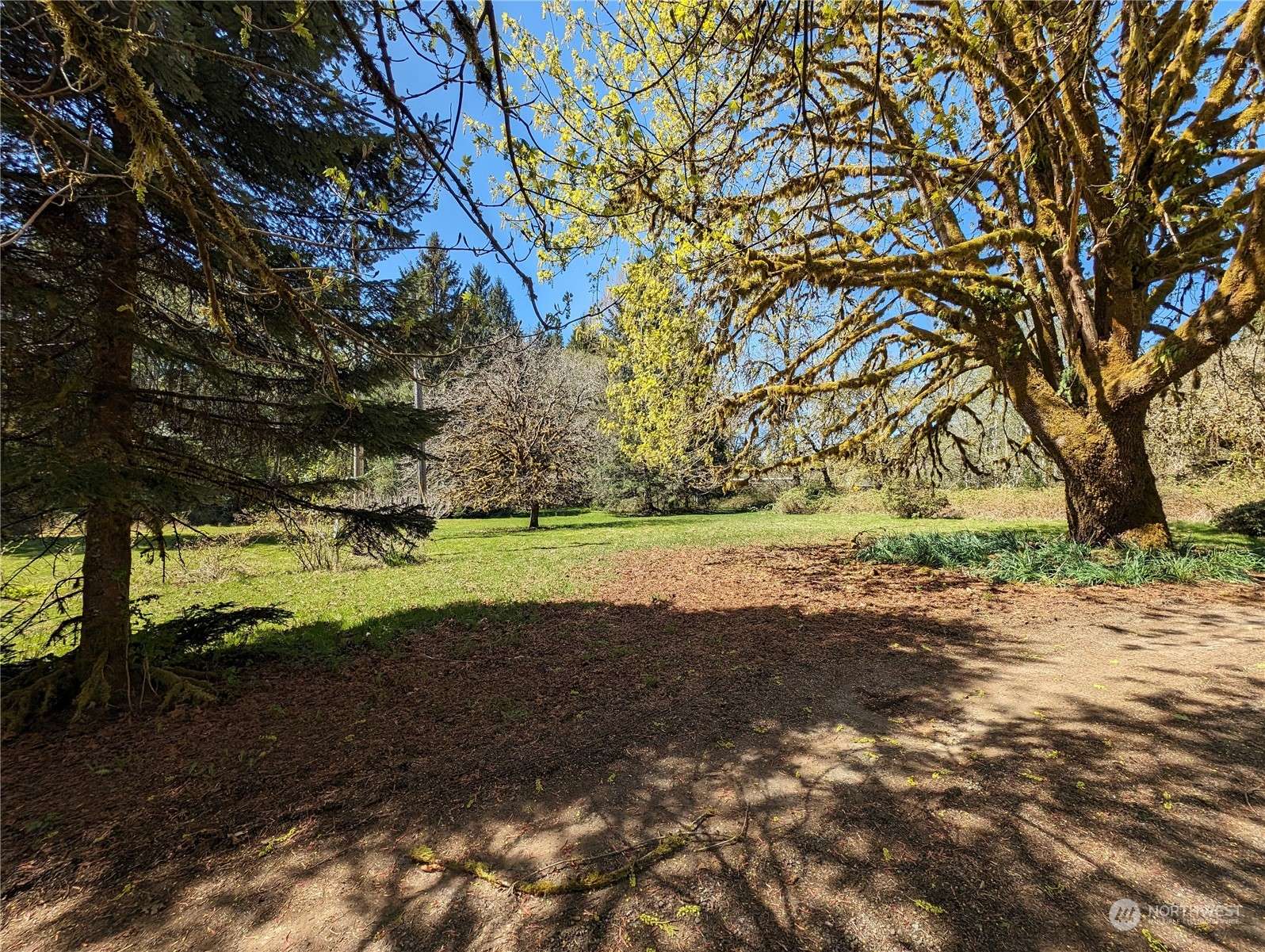 Forks, WA 98331,594 Kallman RD