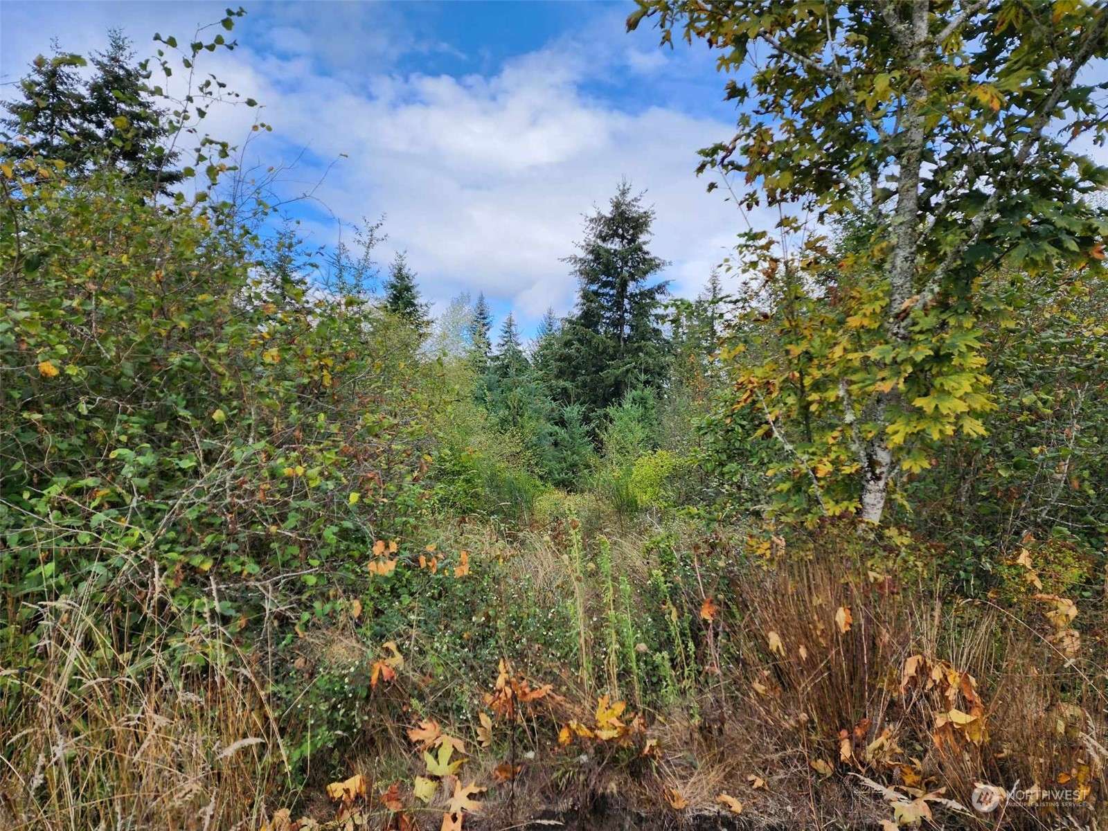 Rainier, WA 98576,11736 Vail Cut Off RD SE