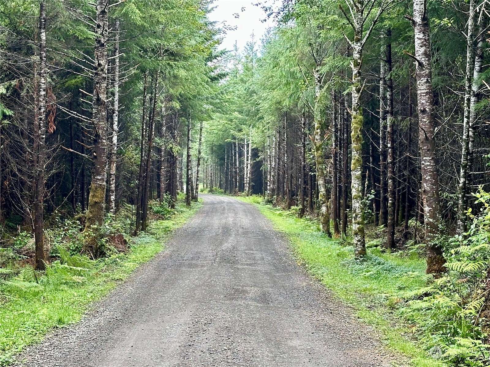 Port Angeles, WA 98363,9999 Grouse Glen WAY