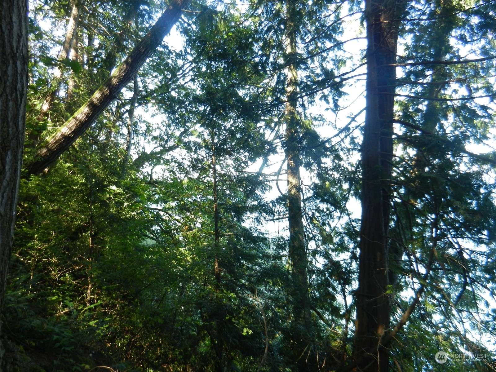Quilcene, WA 98376,8888 Harrington DR