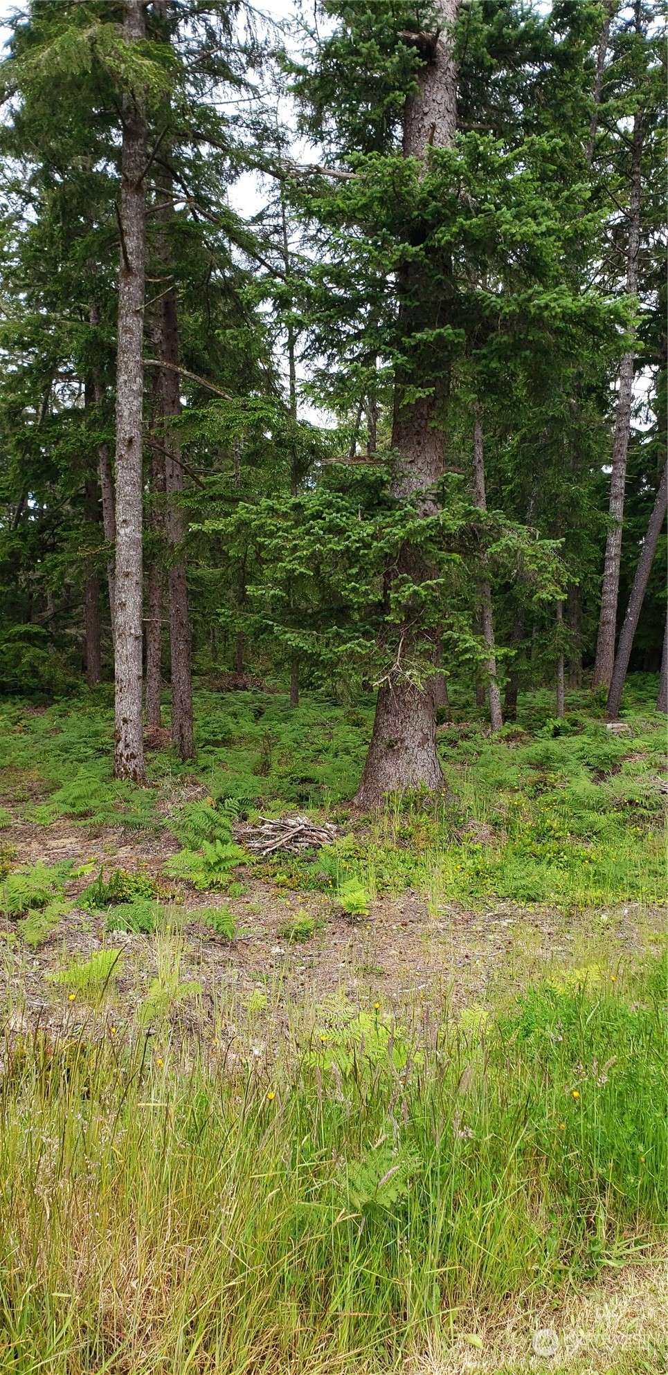 Long Beach, WA 98631,198 XX 198TH