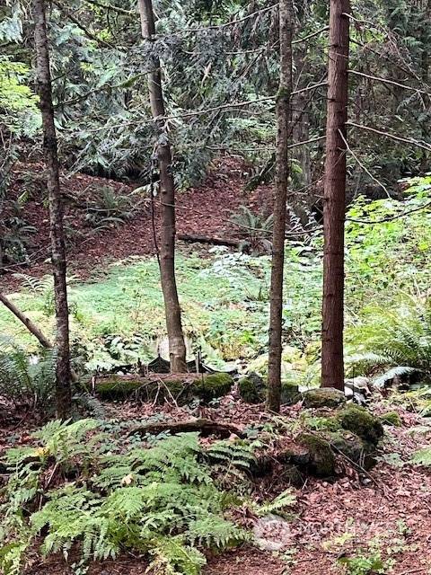 Silverdale, WA 98383,7625 NW Mountain Vista LN
