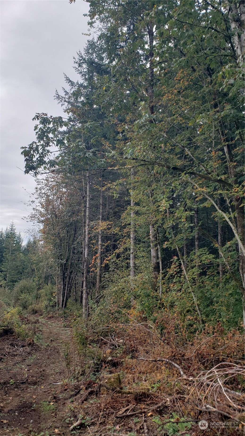 Snohomish, WA 98290,74 XX Pilchuck Tree Farm Rd (Lot 1)