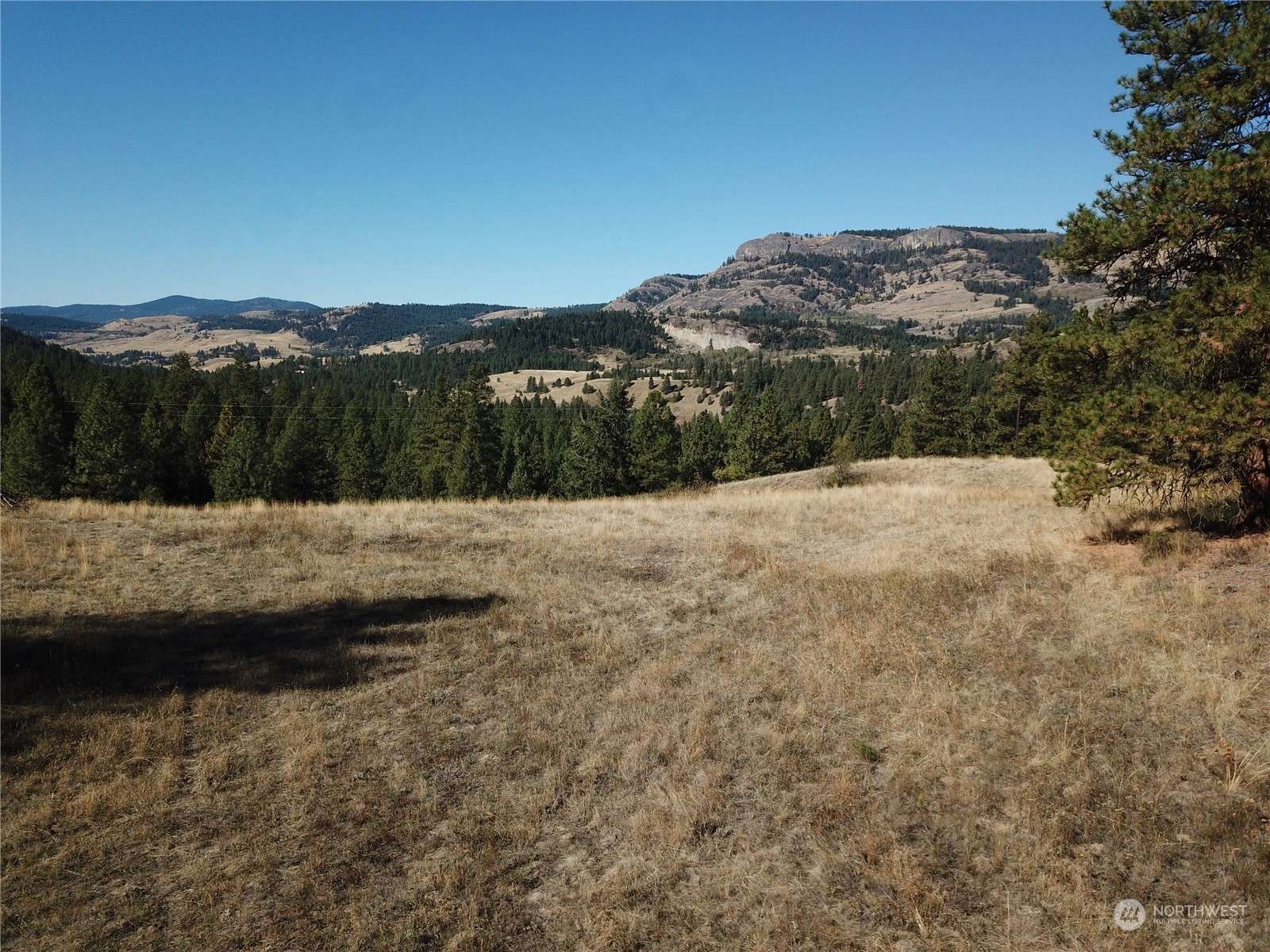 Malo, WA 99150,68 Jostin LN