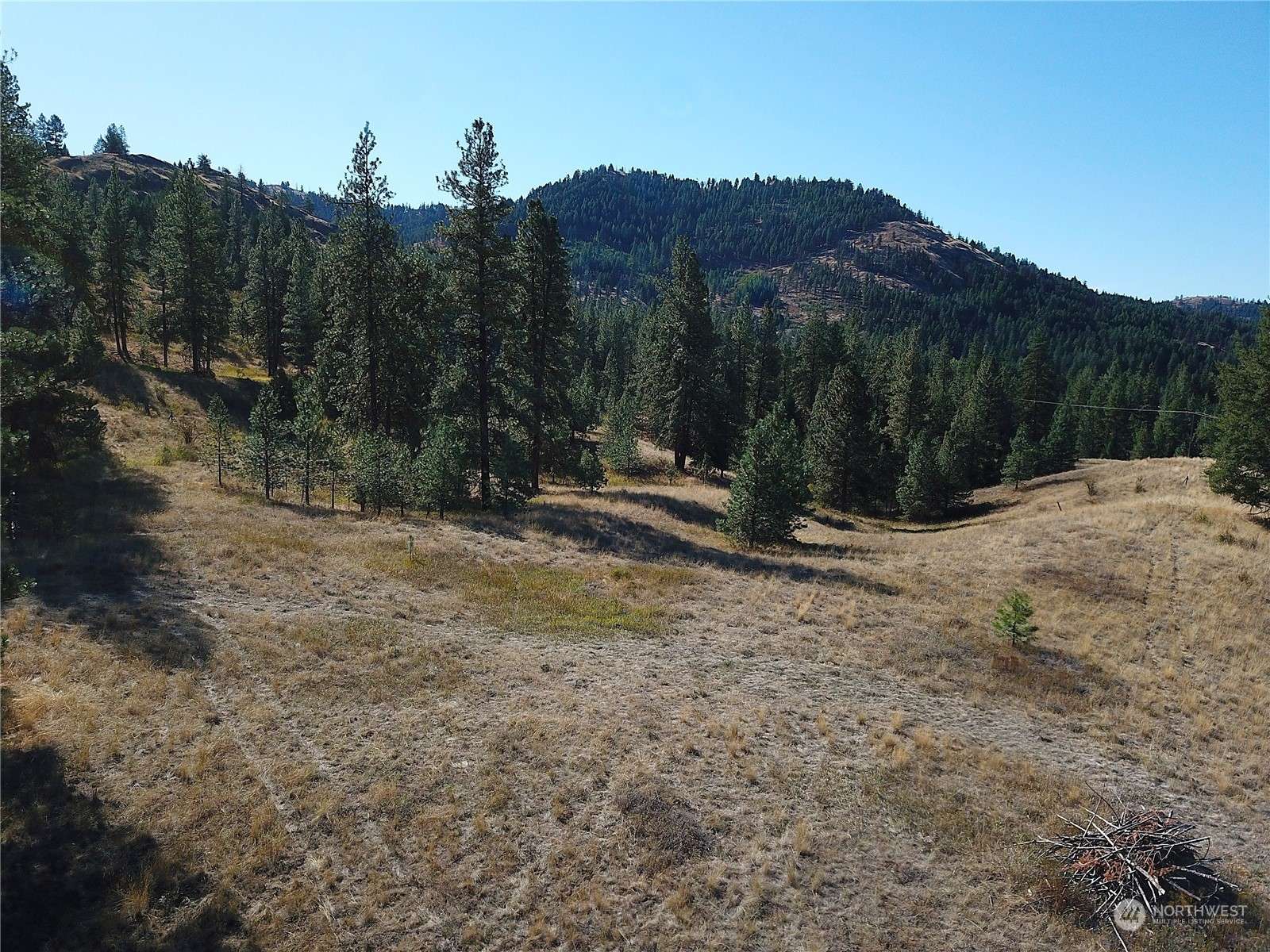 Malo, WA 99150,68 Jostin LN