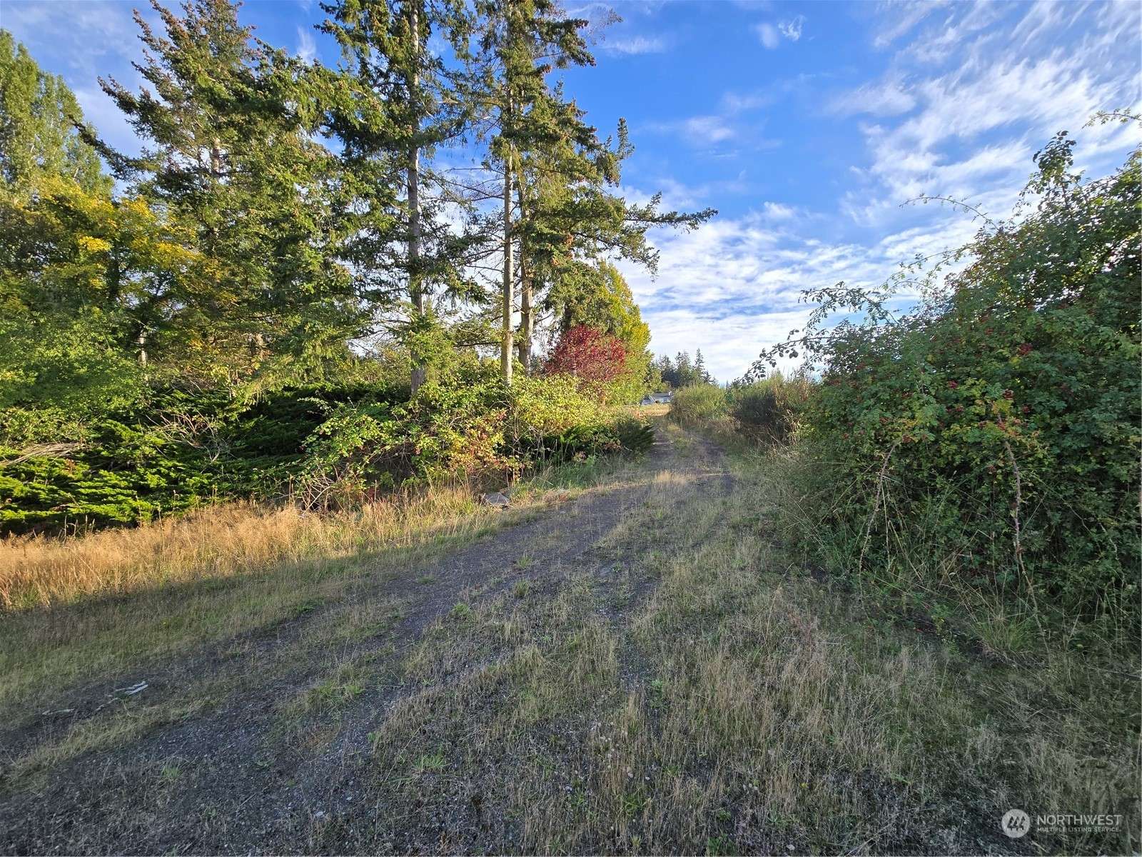 Sequim, WA 98382,463 Miller Road