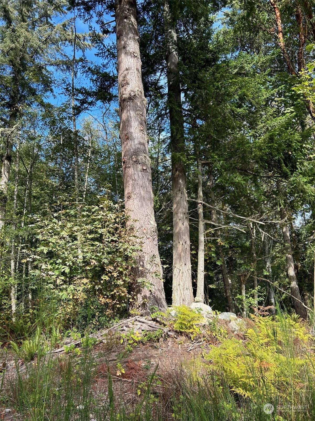 Kingston, WA 98346,22978 Seatter RD NE