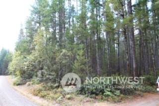 Belfair, WA 98528,0 Tr 42 NE Sides WAY