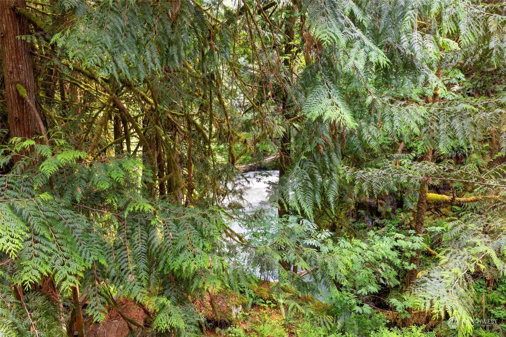 Granite Falls, WA 98252,19500 Silverton WAY