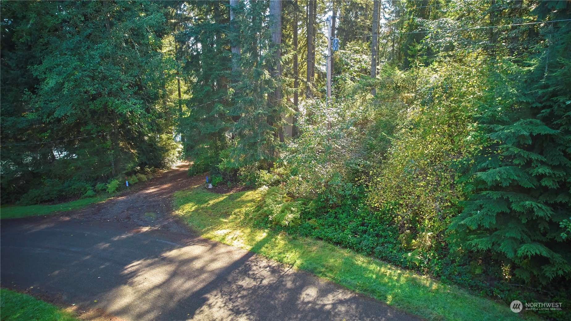 Anderson Island, WA 98303,11114 106th ST