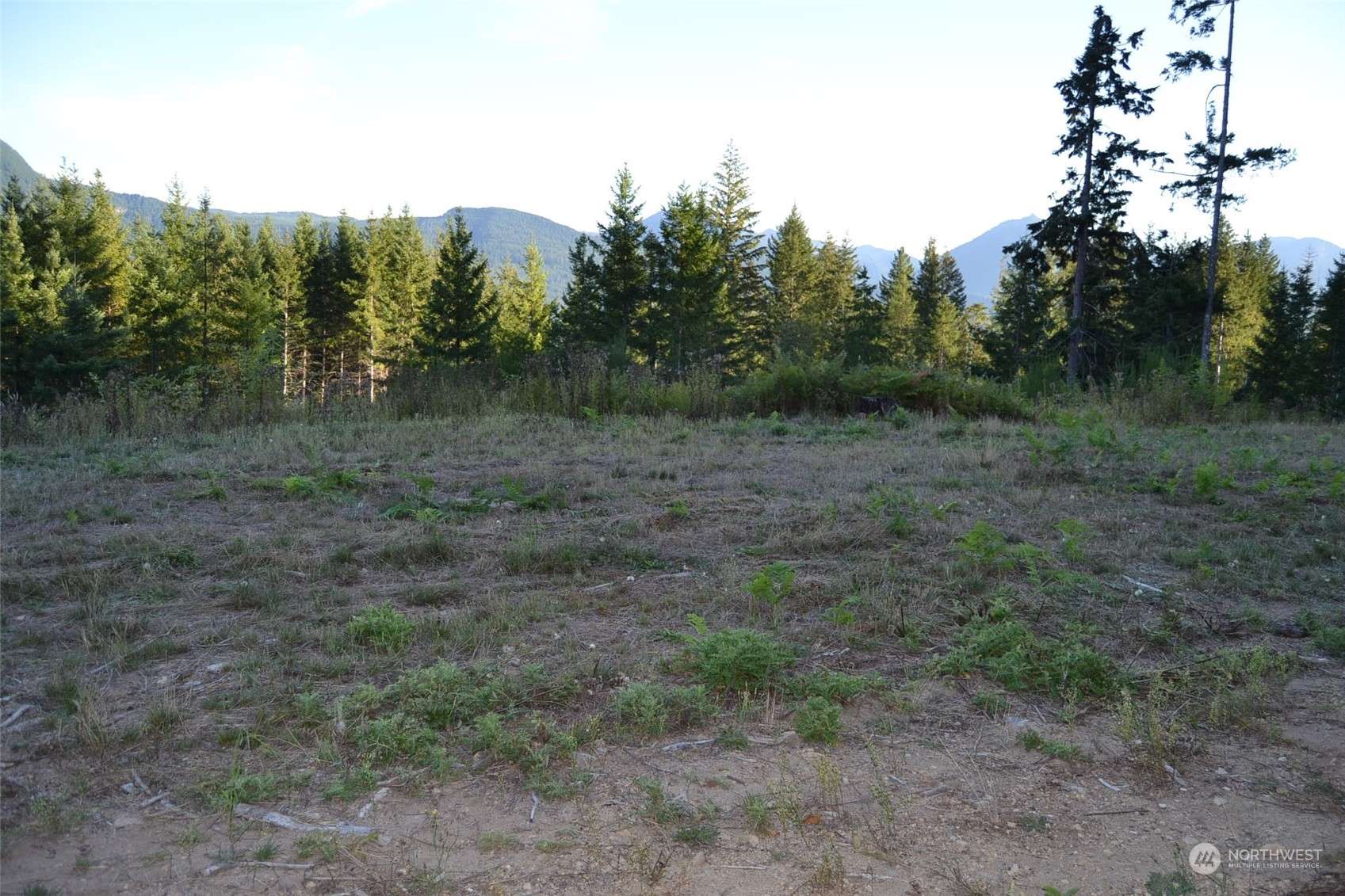 Packwood, WA 98361,0 S Skate Creek Rd. #Lot 1