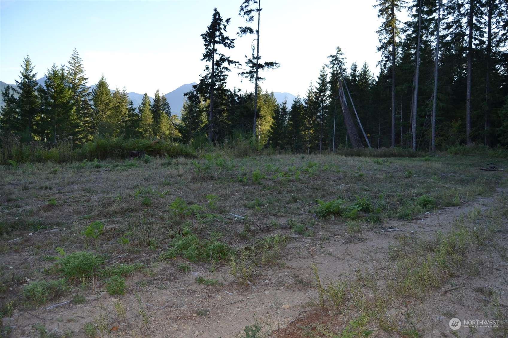 Packwood, WA 98361,0 S Skate Creek Rd. #Lot 1