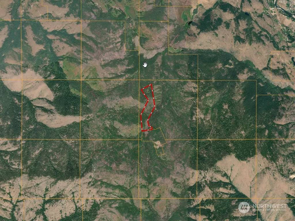 Twisp, WA 98856,380 Lookout Mountain RD