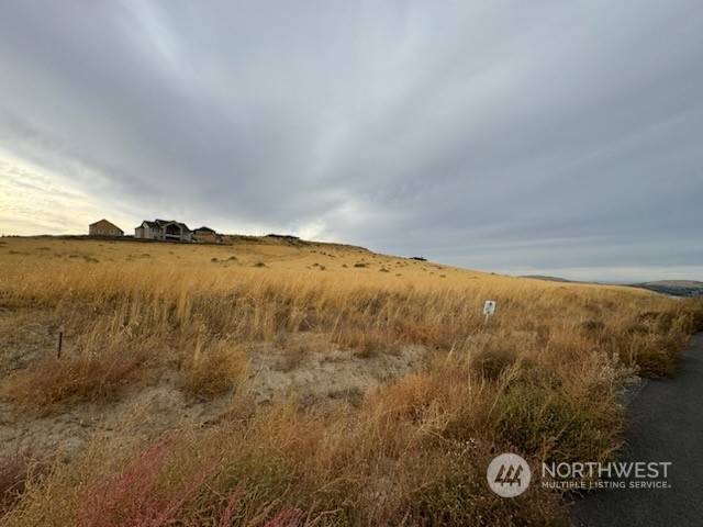 Kennewick, WA 99338,33908 Mammoth Dr