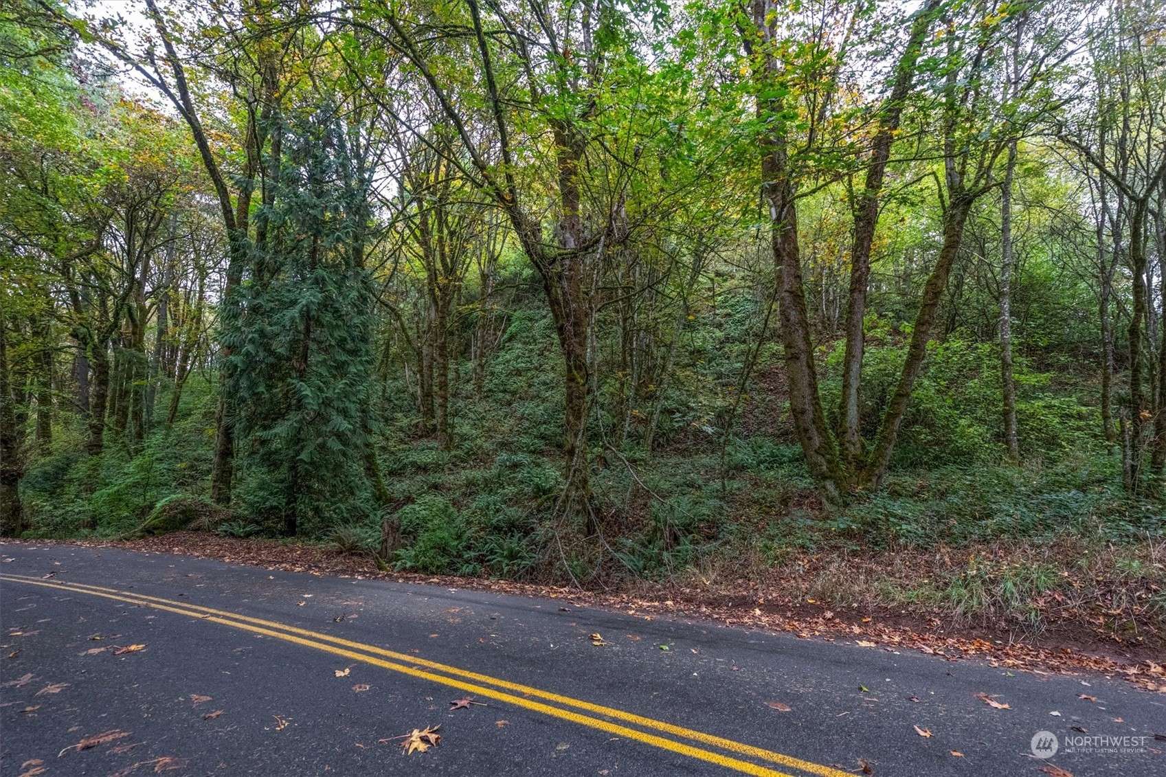 Longview, WA 98632,0 Niemi Rd