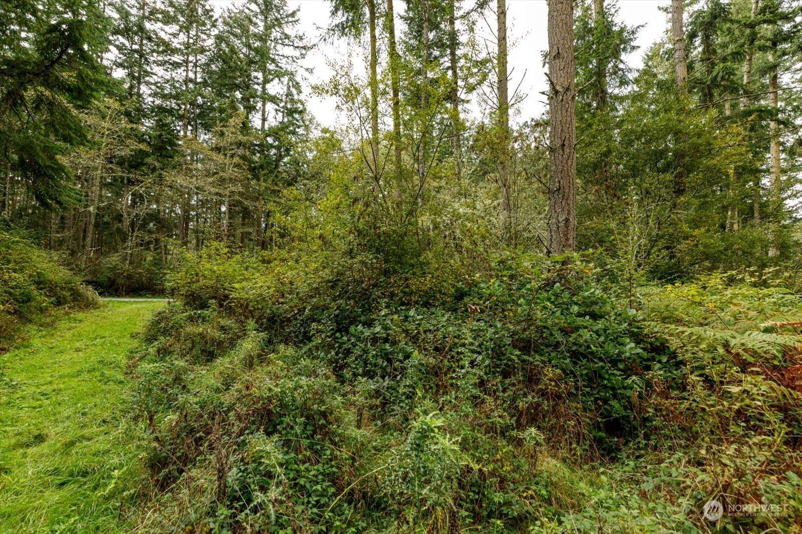 Coupeville, WA 98239,1087 Susan ST