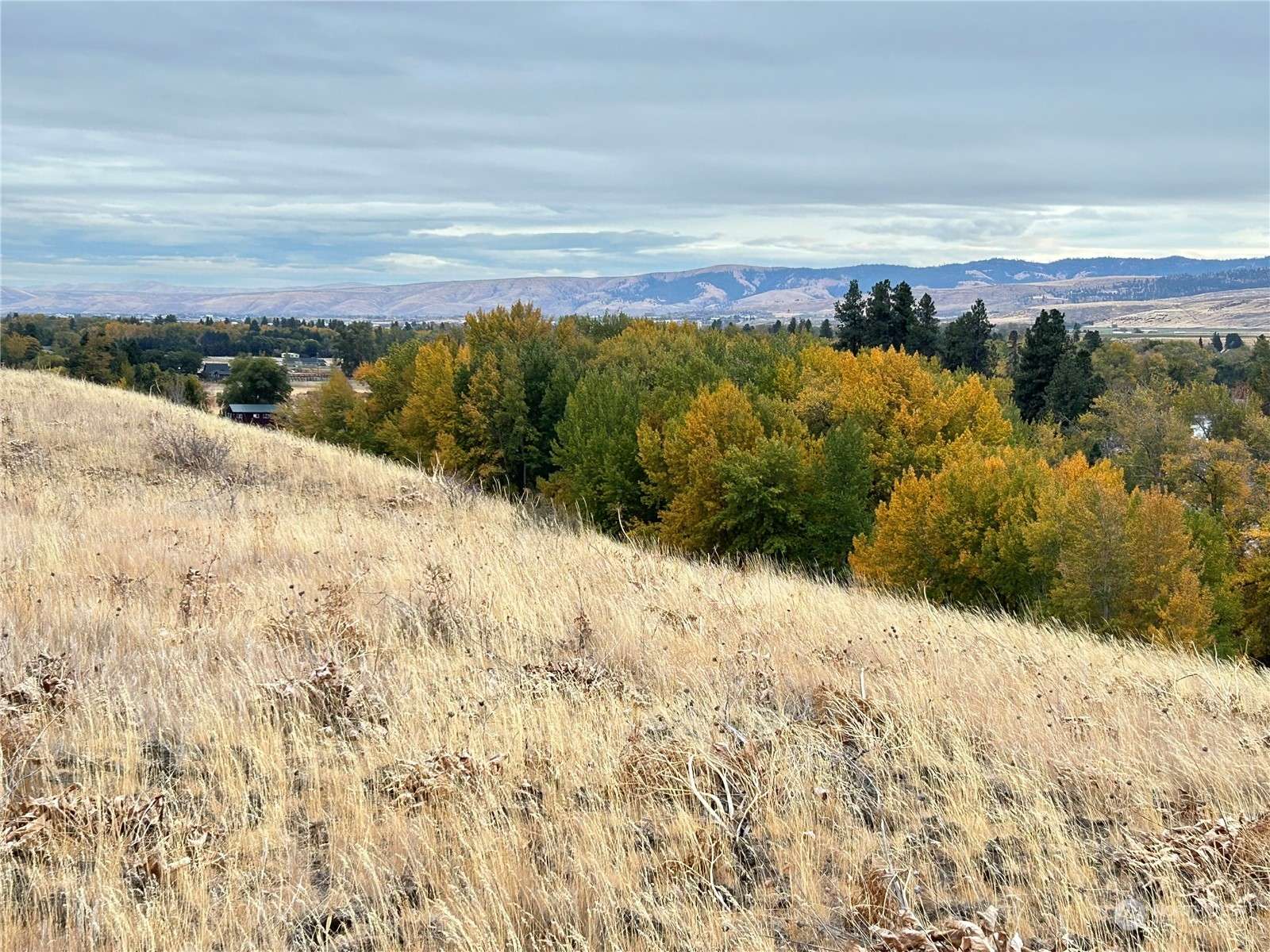 Ellensburg, WA 98926,1 Deer Valley DR