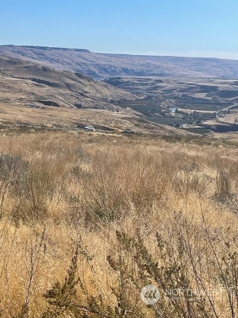 Pateros, WA 98846,0 Curly Horse DR