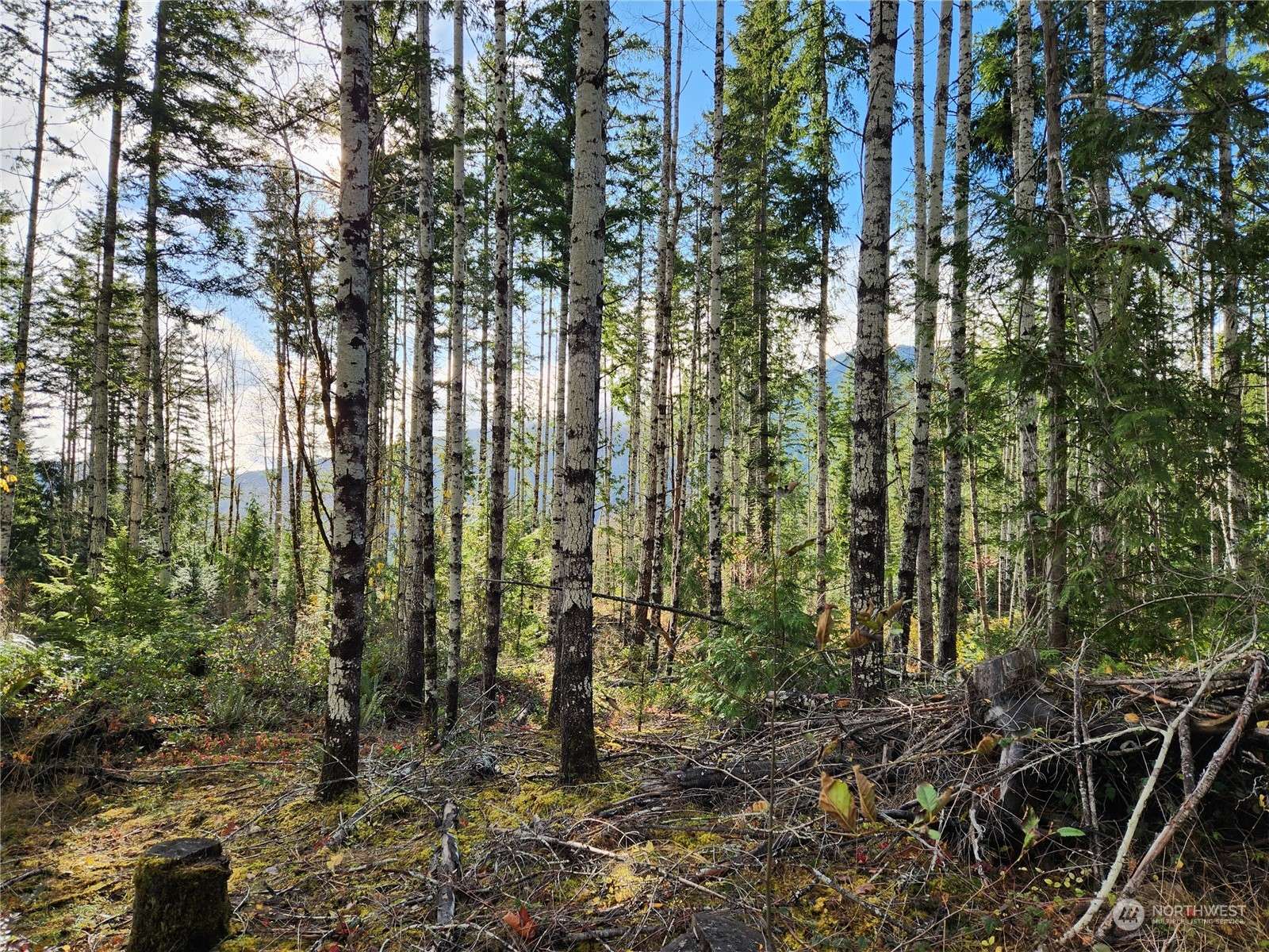 Brinnon, WA 98320,0 Rocky Brook Road RD #Lot I