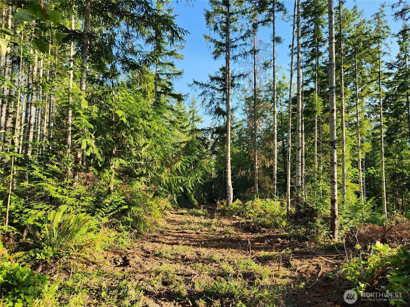 Brinnon, WA 98320,0 Rocky Brook Road RD #Lot I