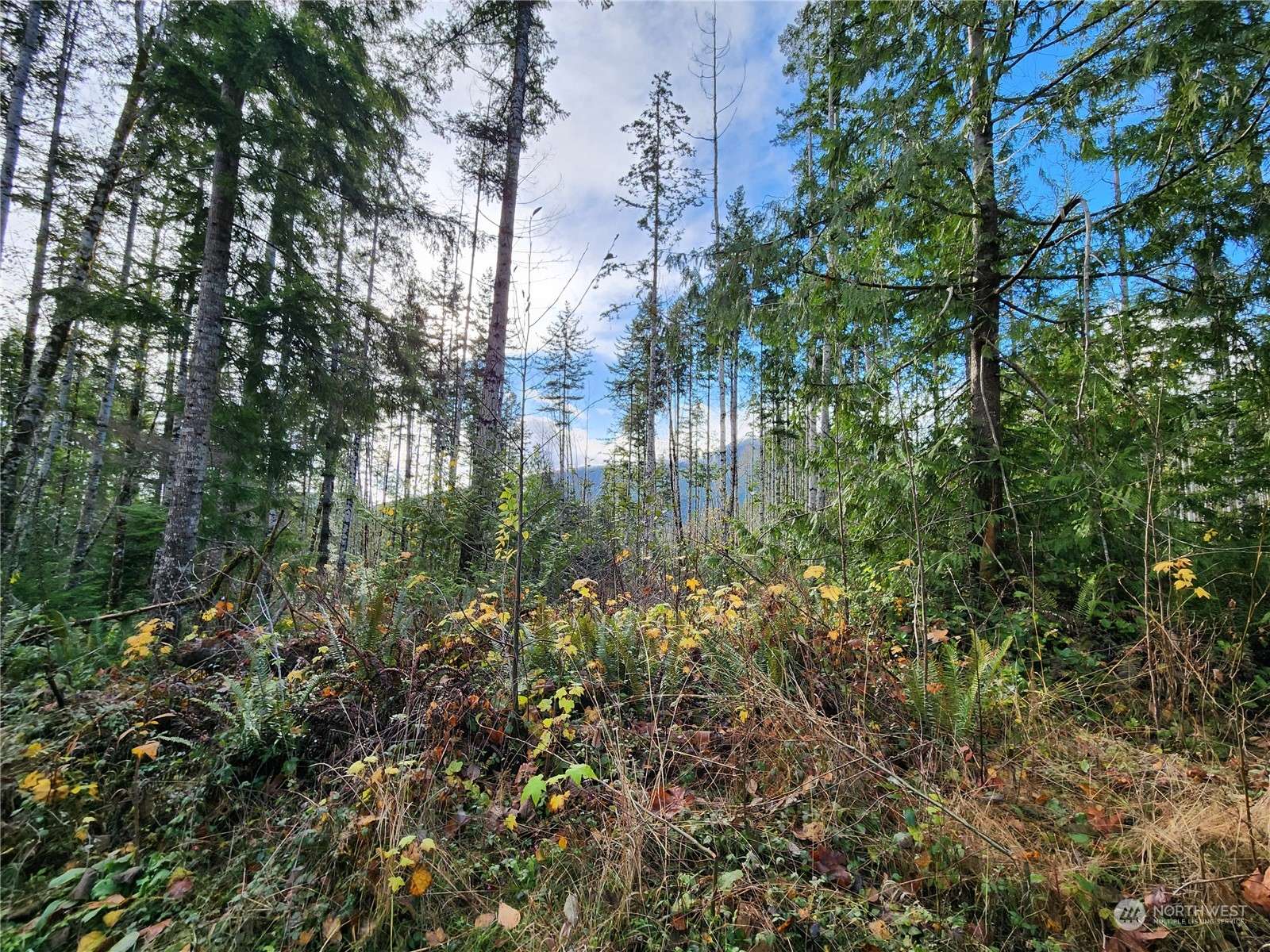 Brinnon, WA 98320,0 Rocky Brook RD #Lot J