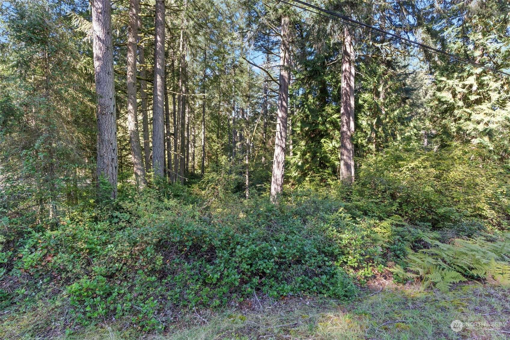 Anderson Island, WA 98303,11307 113th Street Ct