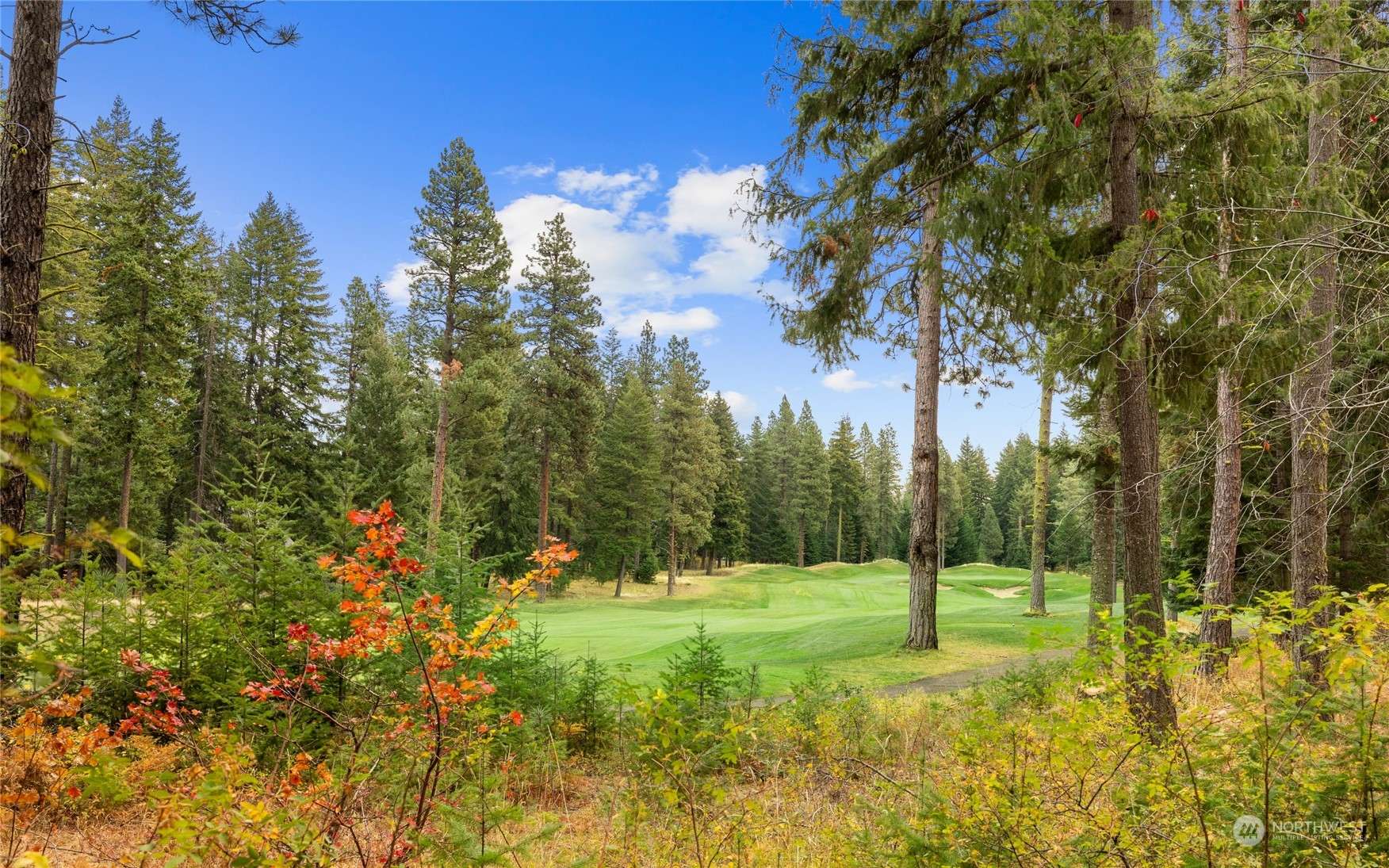 Cle Elum, WA 98922,1251 Pinegrass LOOP