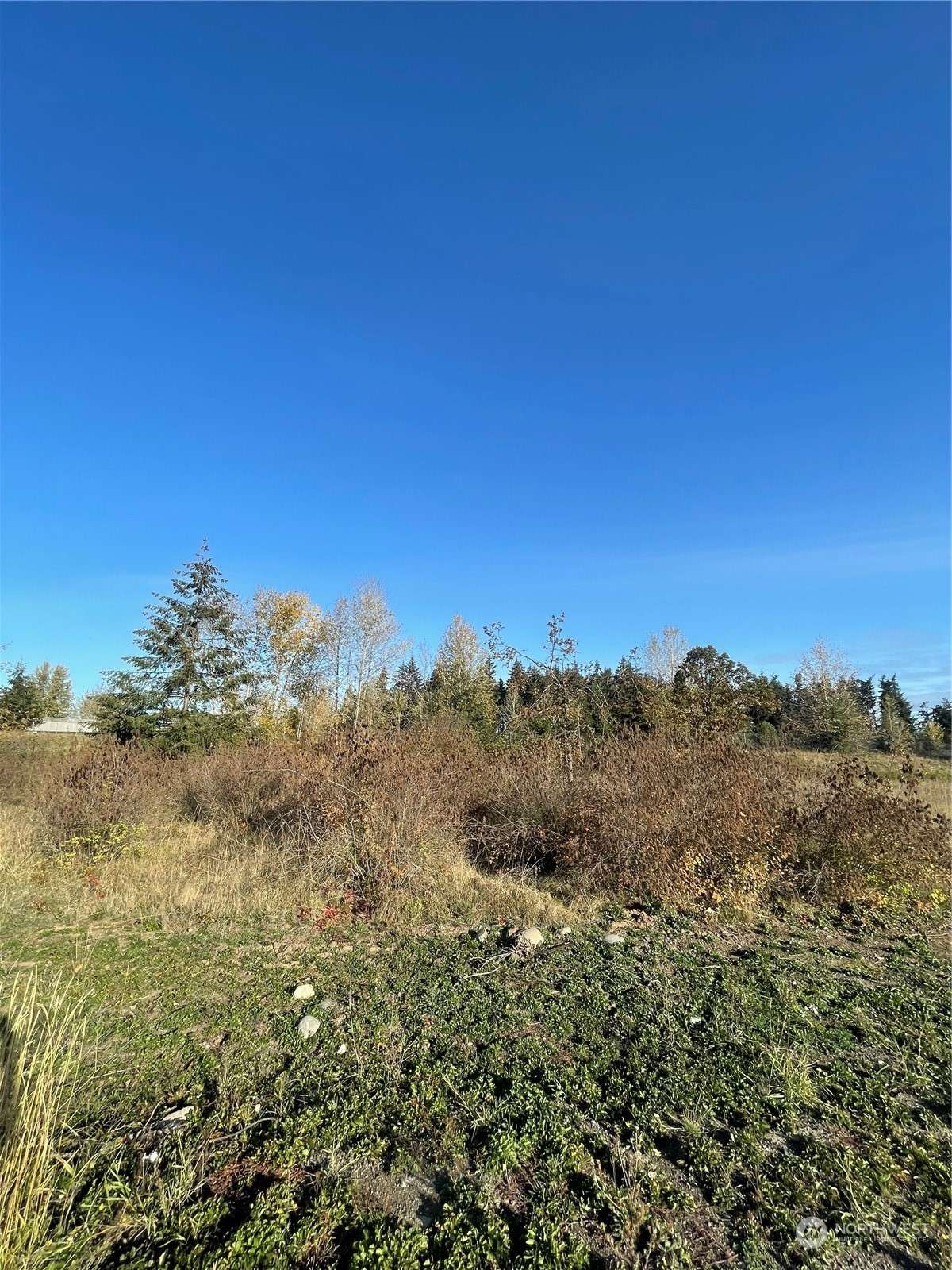 Sequim, WA 98382,9999 McCurdy RD #Lot 3