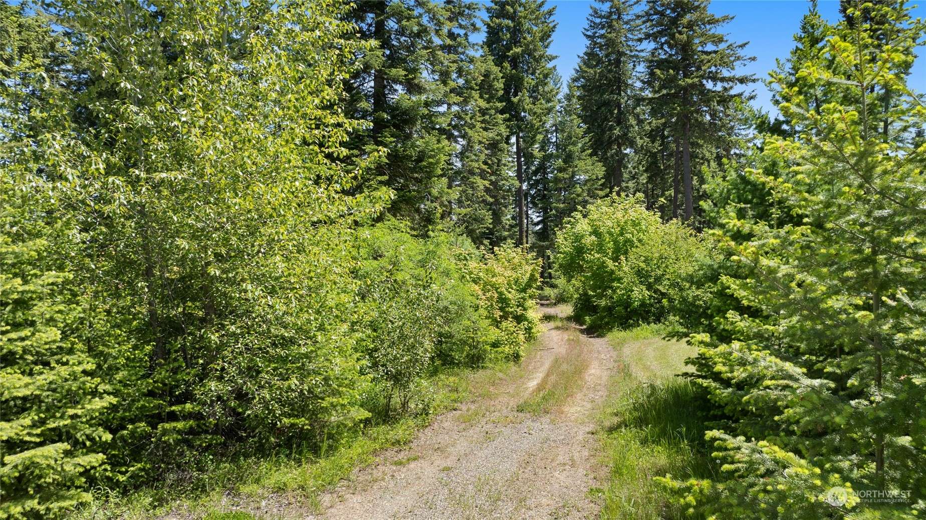 Cle Elum, WA 98922,11 Lot- Pinnacle Lane