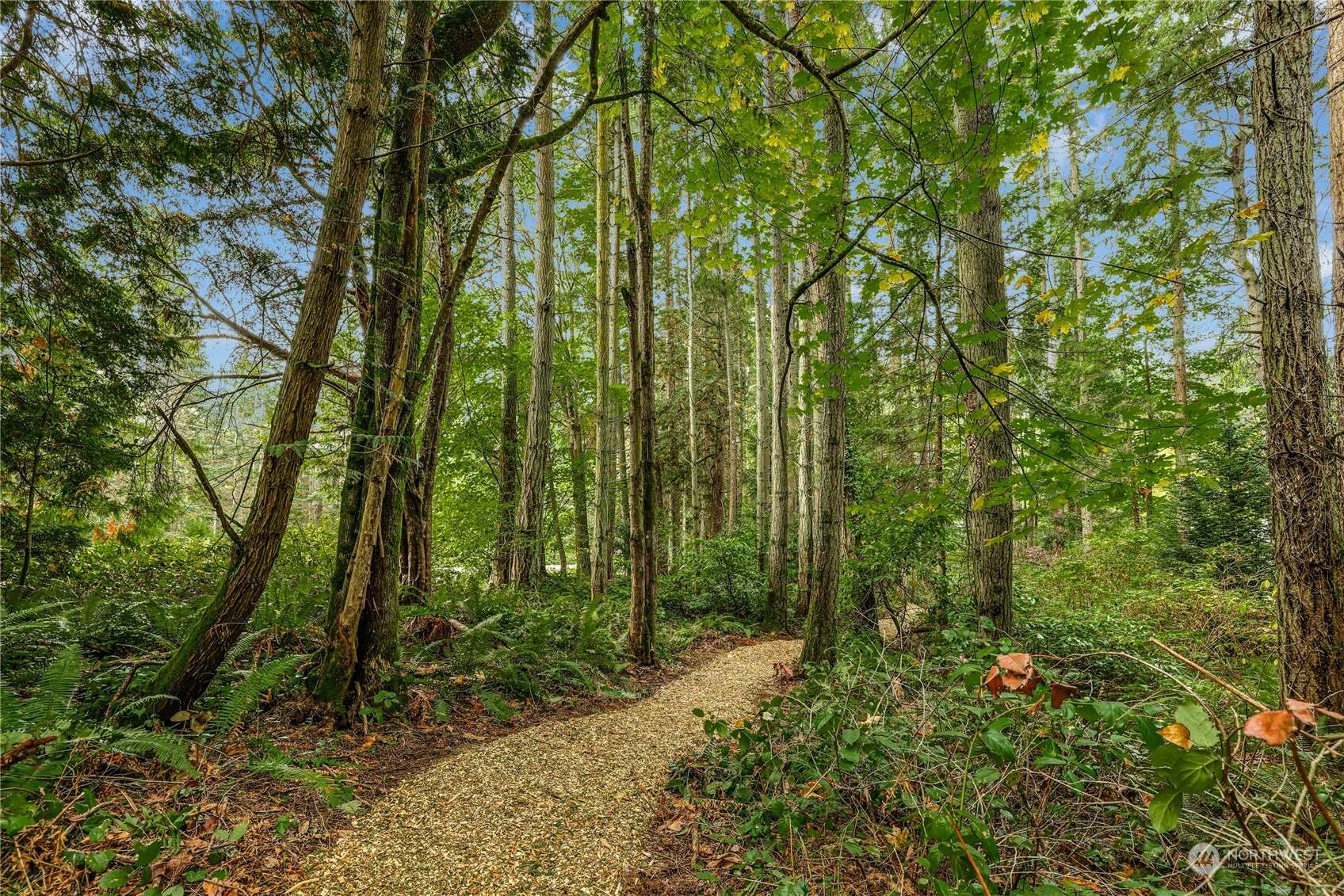 Bainbridge Island, WA 98110,0 NE Lofgren (Lot A) RD