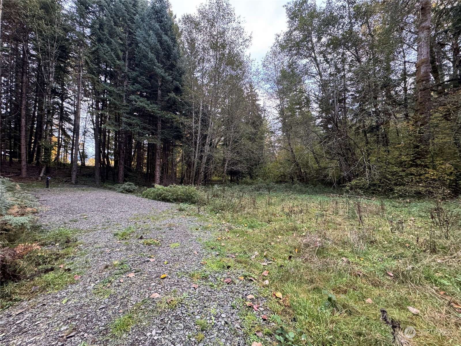 Packwood, WA 98361,108 Armstrong LN