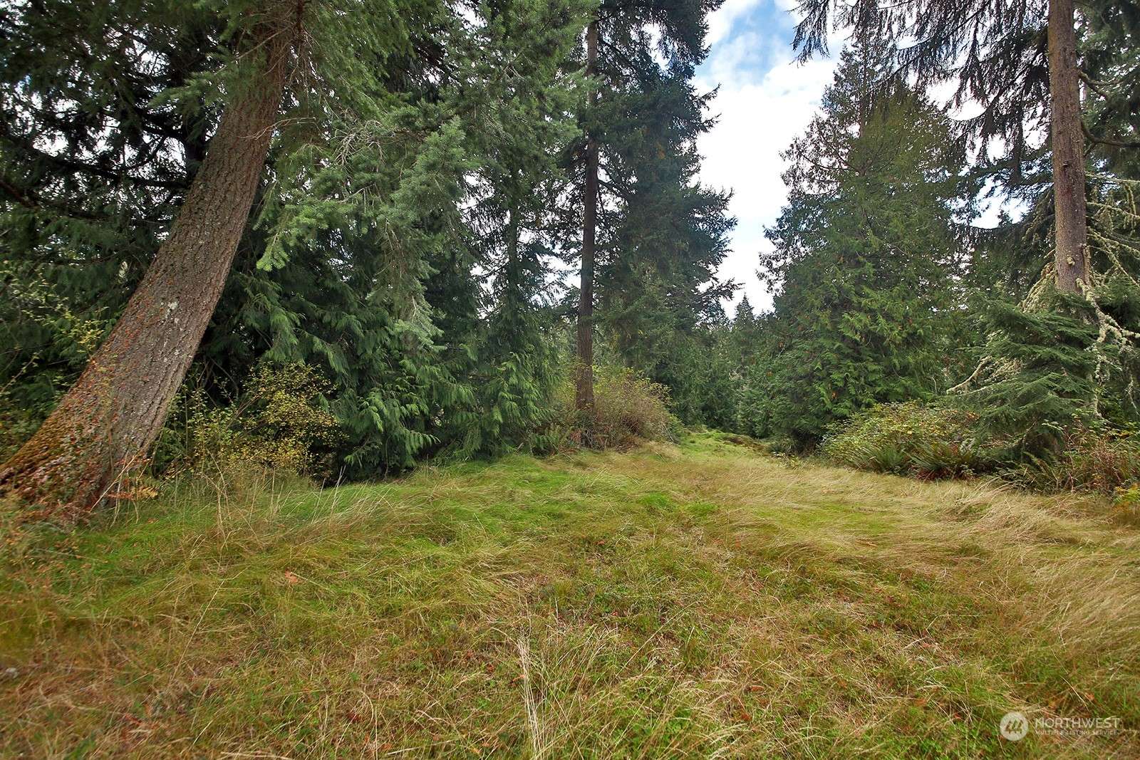 Langley, WA 98260,0 Lot E Saratoga RD