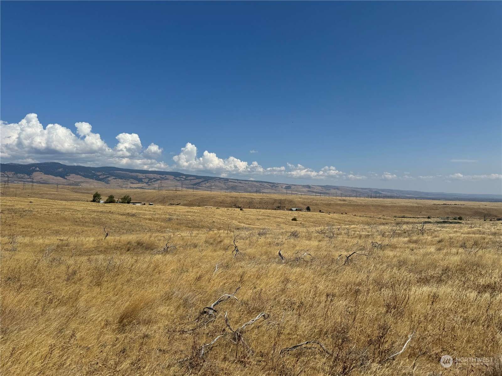 Ellensburg, WA 98926,5281 Ellensburg Ranches RD