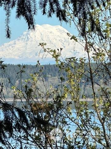 Anderson Island, WA 98303,10911 Seaview DR