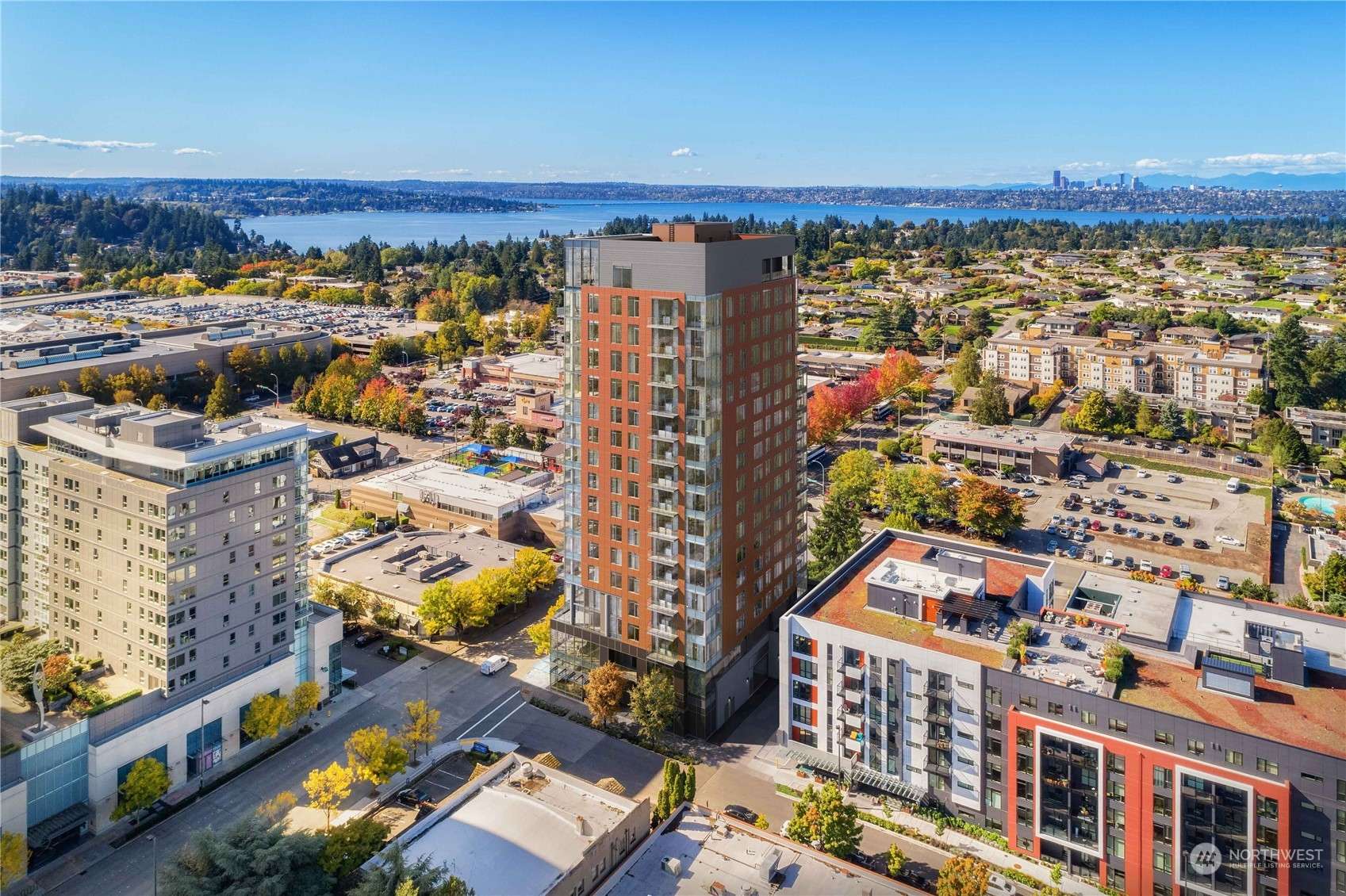 Bellevue, WA 98004,10232 NE 10th ST #715