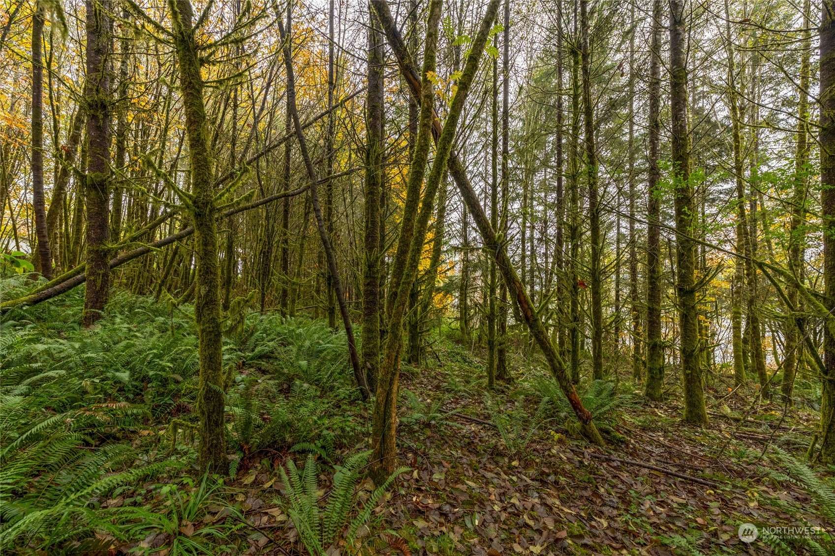 Longview, WA 98632,3007 Stella Rd