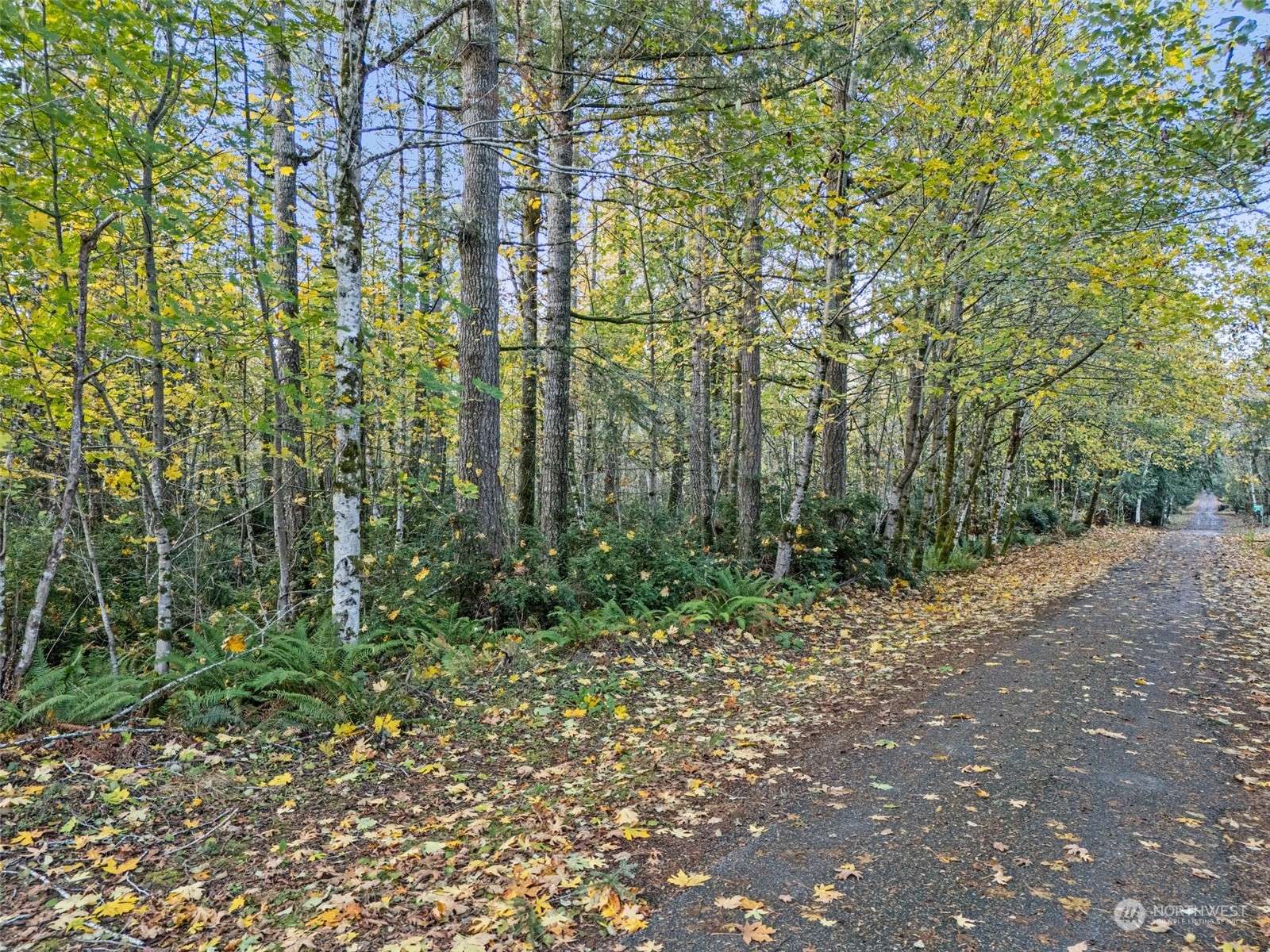 Shelton, WA 98584,0 Lot B E Jared RD