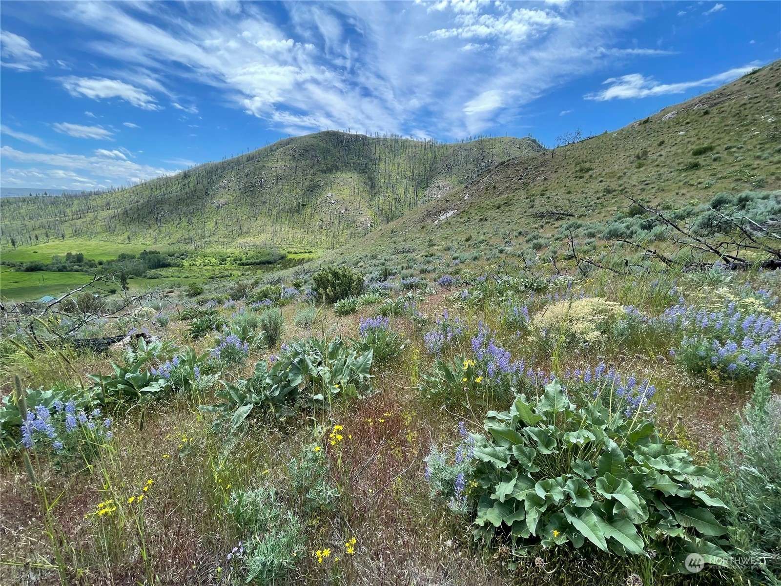 Chelan, WA 98816,436 Antoine Creek RD #Lot I