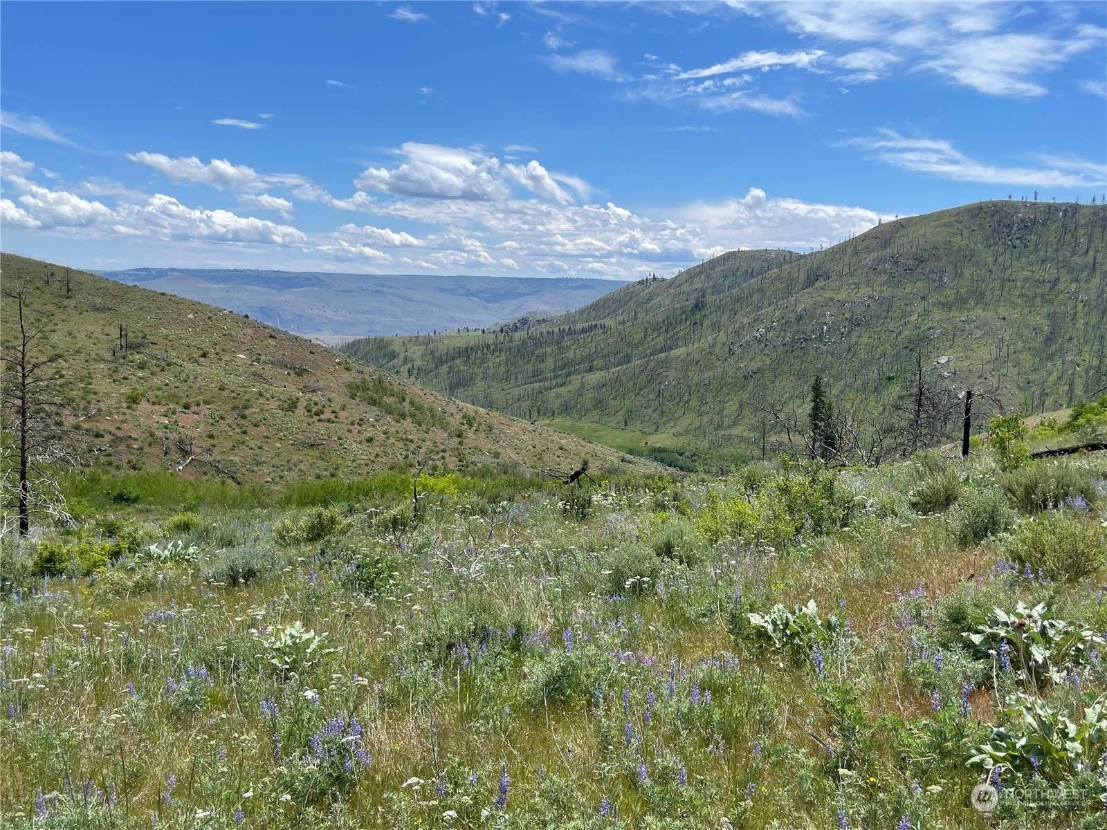 Chelan, WA 98816,436 Antoine Creek RD #Lot E