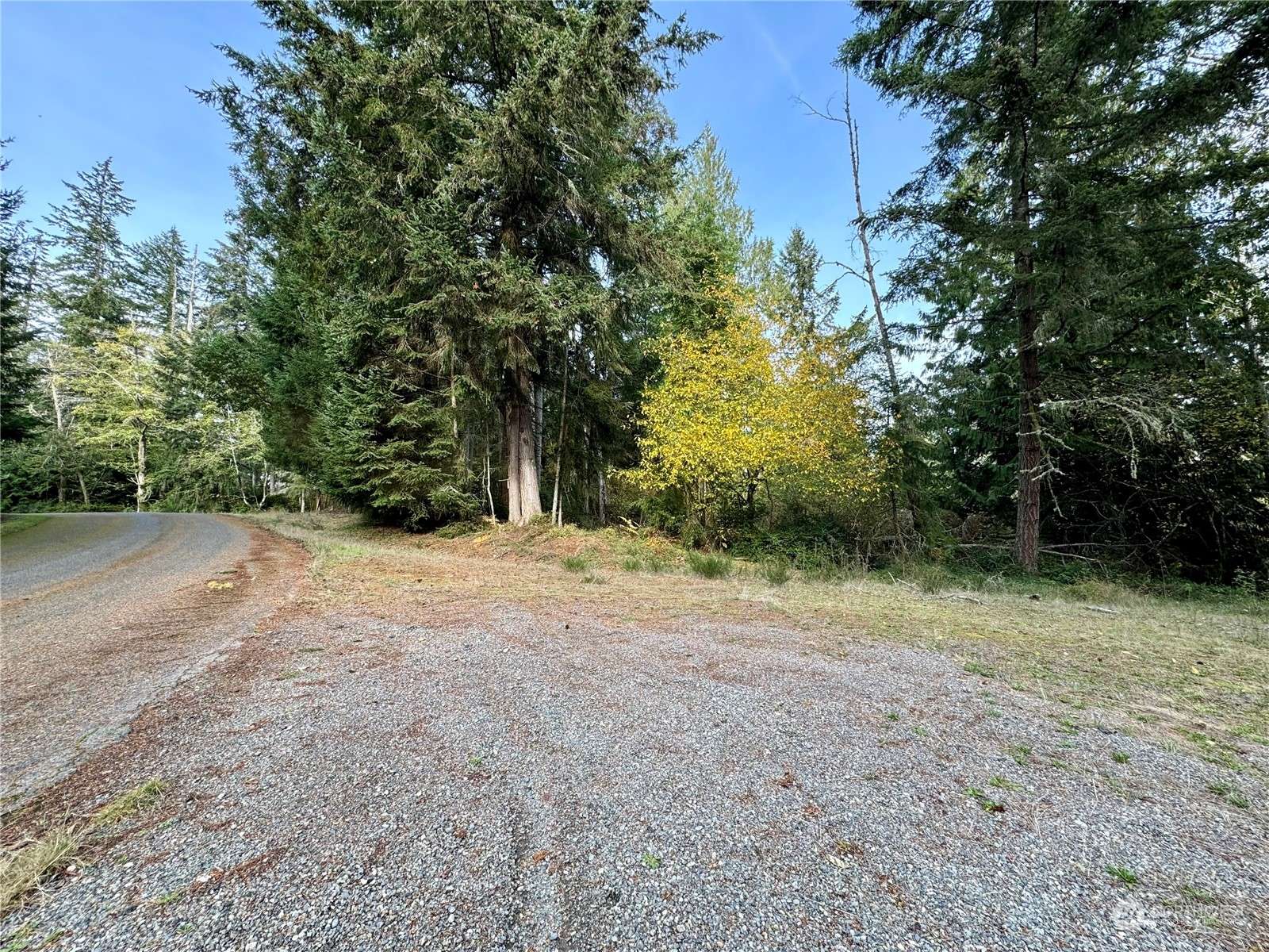 Anderson Island, WA 98303,10011 108th Avenue Ct