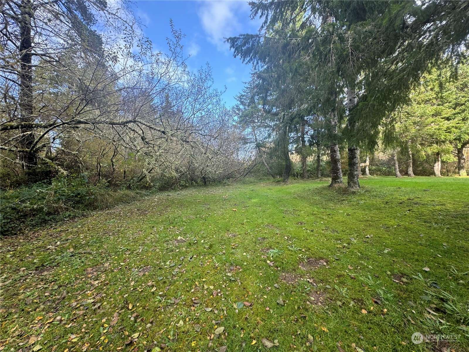 Ocean Park, WA 98640,0 S LN