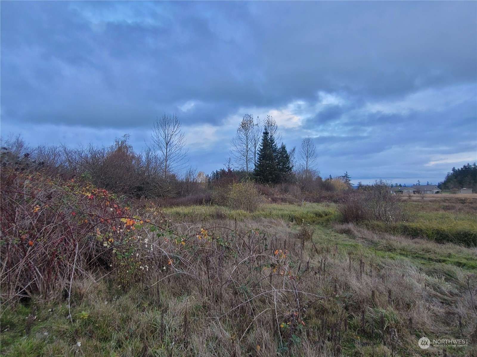 Camano Island, WA 98282,6 xx Ell RD