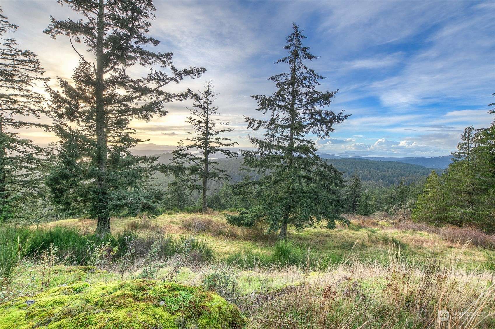Orcas Island, WA 98245,0 Rustic Homestead- SW1 LN