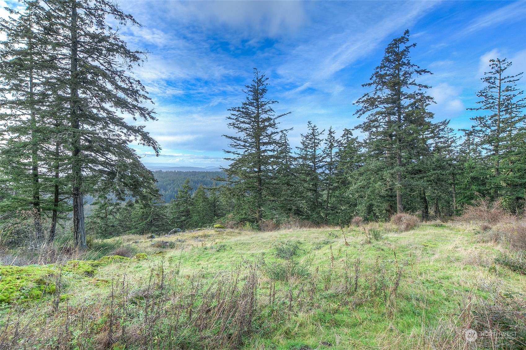 Orcas Island, WA 98280,0 2 NW Rustic Homestead LN