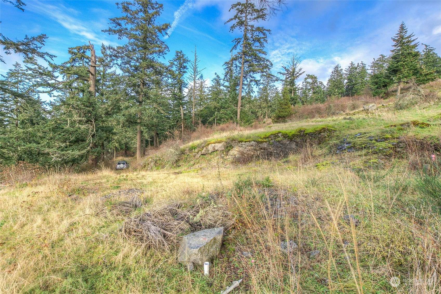 Orcas Island, WA 98280,0 2 NW Rustic Homestead LN