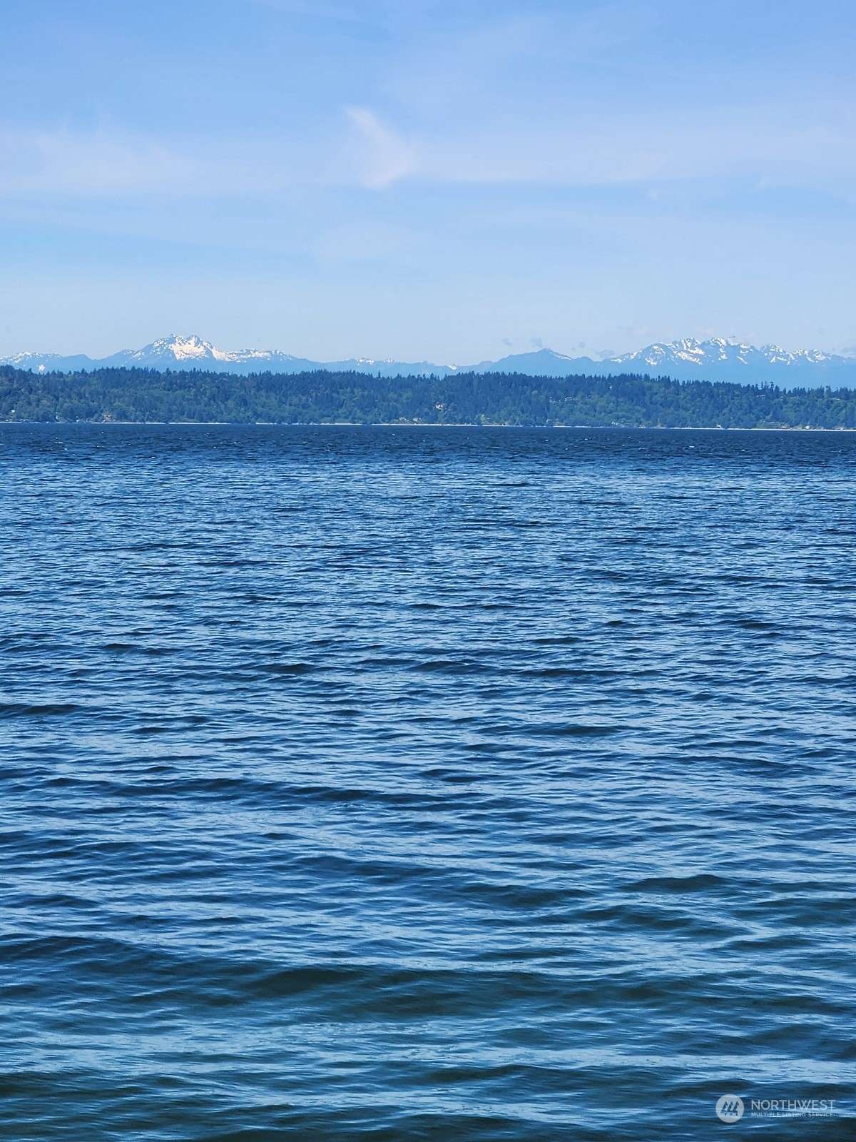 Burien, WA 98166,15825 Maplewild AVE SW