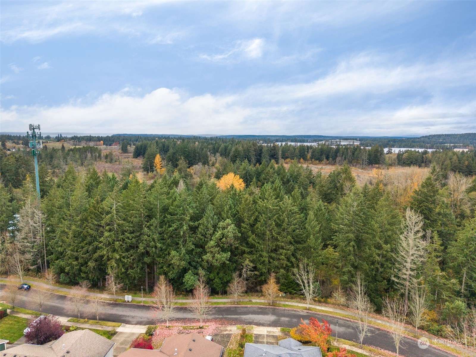 Dupont, WA 98327,0 Bell Hill Place Lot 2