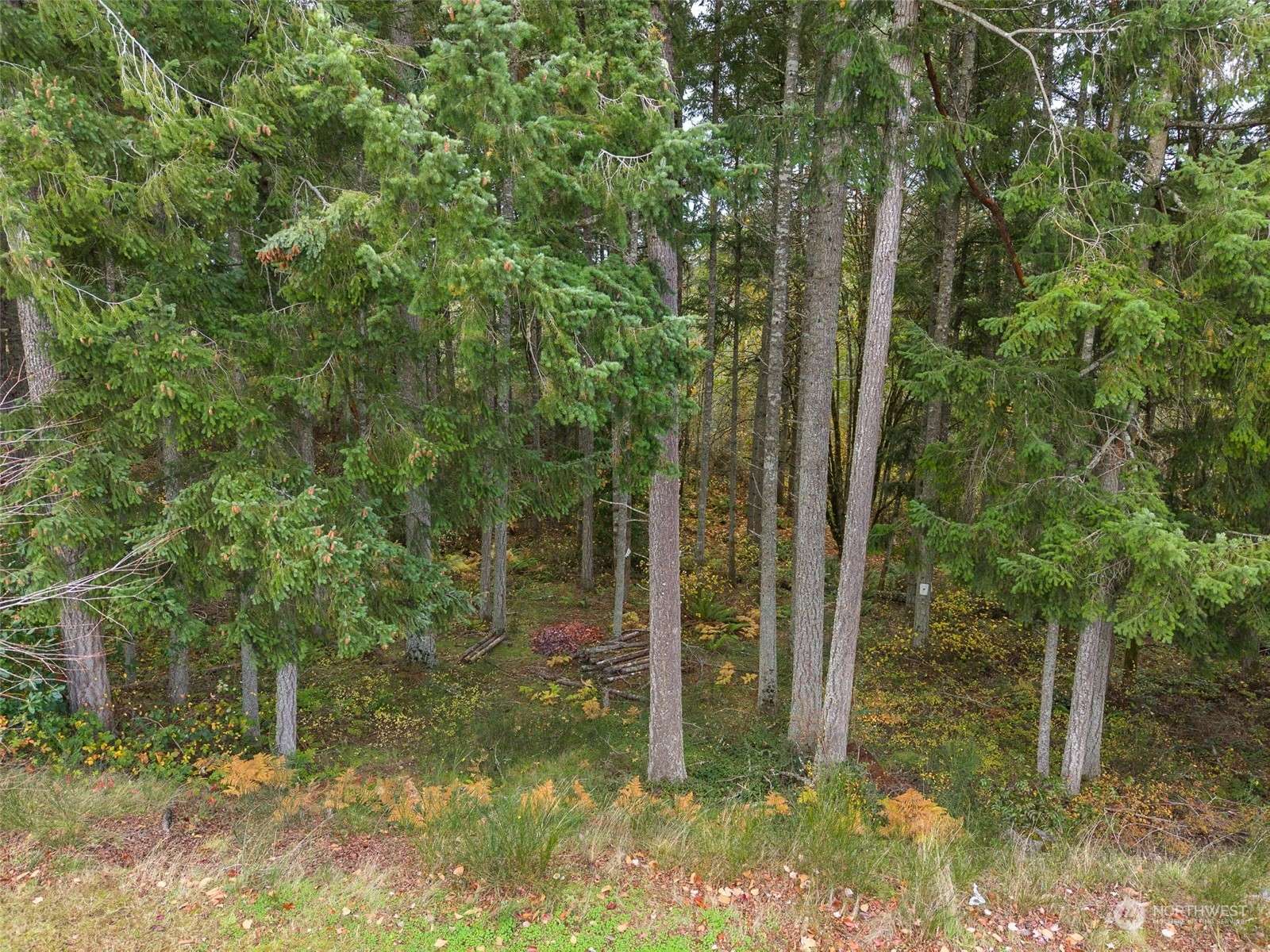 Dupont, WA 98327,0 Bell Hill Place Lot 2