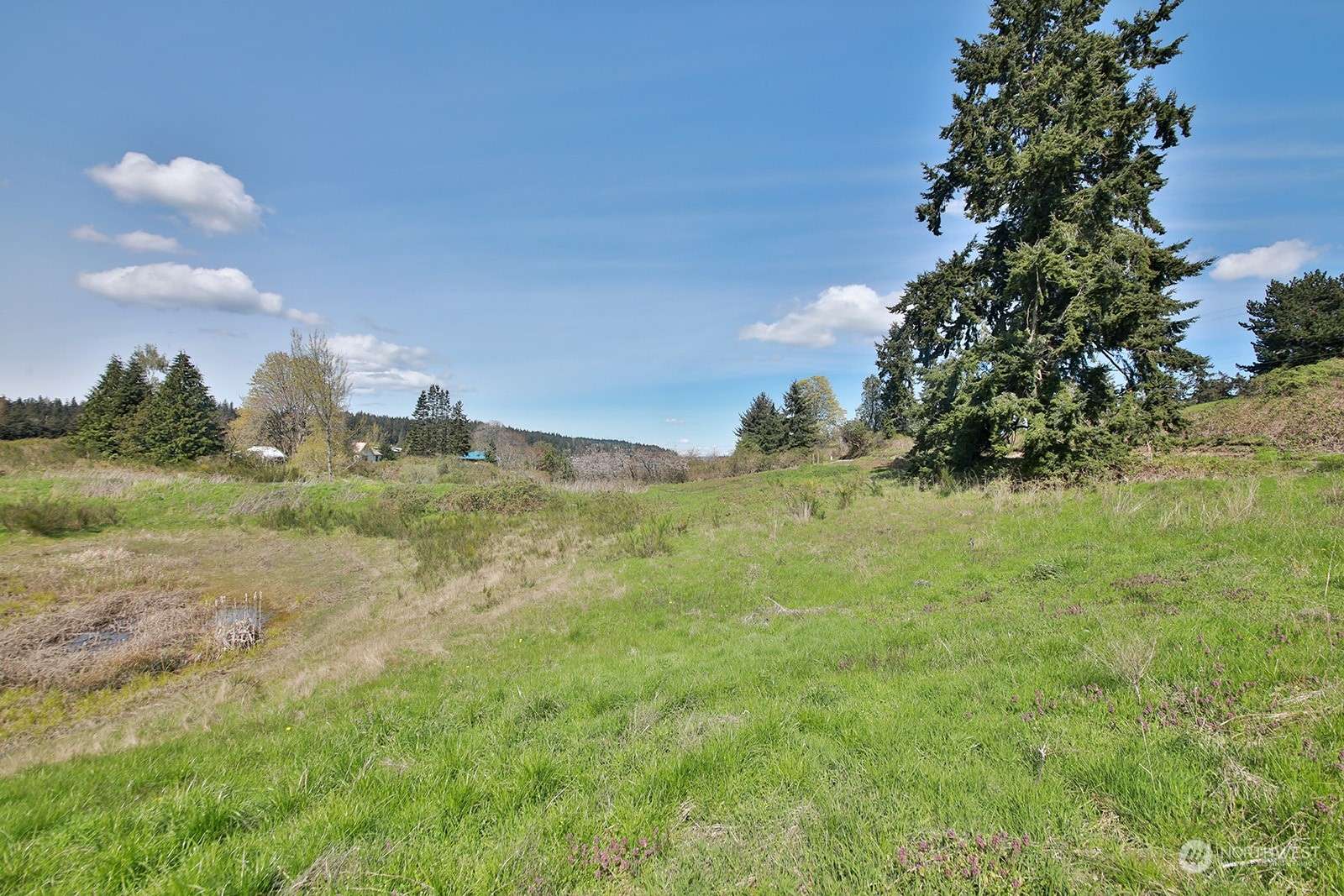 Freeland, WA 98249,5493 Woodard AVE
